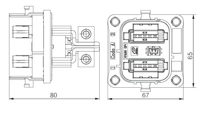Neopower 高電流 300A 1000V 自動車用 2ピン電源コネクタ